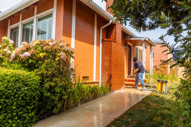 Fence Pressure Washing in Newcastle, WA