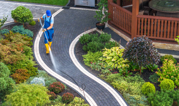 Best Exterior Home Cleaning  in Newcastle, WA